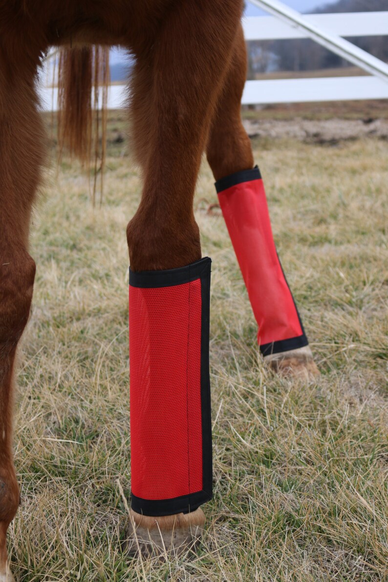 Fly Boots Fly Wraps / Leggings For Horses Tapered Style