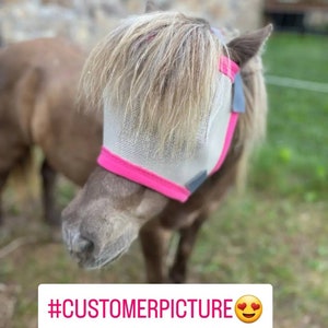 Fly Mask For Minis, Ponies, Foals,  Donkeys, Handmade in the USA Montana, Solid Trim Choose Color