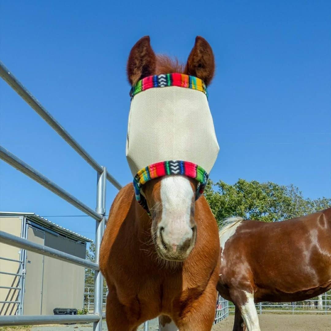 Equilibrium masque de anti-mouches et UV pour cheval
