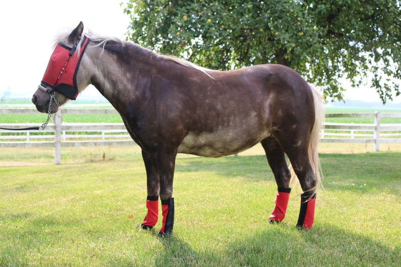 Fly Wraps Leggings Fly Boots For PONIES MINI DONKEYS Straight Style Set Of Four 9 Color choices