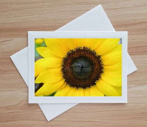 Yellow Sunflower Blank Inside Note Card, Sunflower Greeting Card ...