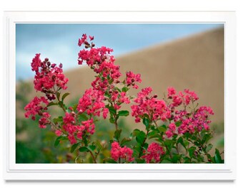 Pink Floral Note Card, Floral Greeting Card, Embossed, Blank Inside, All Occasion, Personalize, Photo Card, Giclee Print, Card Box Set