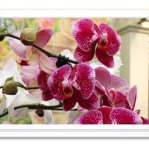 Orchids, Note Card, Greeting Card, Orchid Stationary, Blank Inside Card, Embossed Note Card, Photo Card, All Occasion Note Card