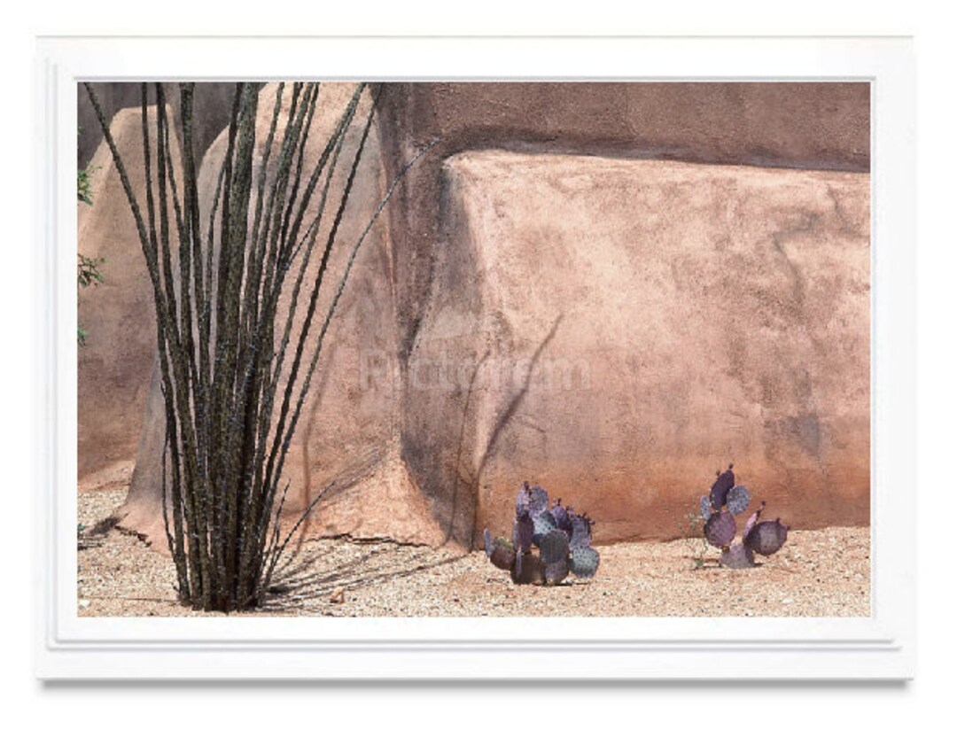 Tucson Arizona Note Card Tucson Arizona Greeting Card Etsy