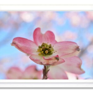 Pink Dogwood Blossom, Note Card, Greeting Card, Blank Inside Card, Embossed Note Card, Photo Card, All Occasion Card, Thank You Card