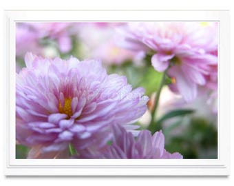 Pink Floral Note Card, Floral Greeting Card, Embossed, Blank Inside, All Occasion, Floral Photo Card, Giclee Print, Personalize, Box Set