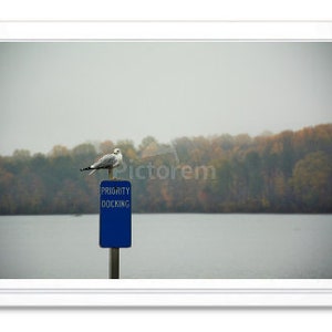 Mouette en automne, carte de correspondance, papeterie mouette, carte intérieure vierge, carte de correspondance en relief, impression jet d'encre, carte photo d'automne, carte toutes occasions