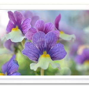 Purple Floral, Note Card, Embossed Note Card, Blank Inside Card, Giclee Print, Purple Flowers, All Occasion Greeting Card