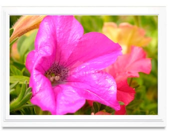 Pink Floral Note Card, Floral Greeting Card, Embossed, Blank Inside, All Occasion, Personalize, Floral Photo Card, Giclee Print, Box Set