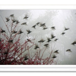 Carte de correspondance Volée d'oiseaux en automne, Papeterie d'automne, Carte intérieure vierge, Carte de correspondance en relief, Impression jet d'encre, Carte photo d'automne, Carte toutes occasions