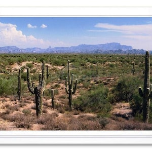 Désert de Sonora, Arizona, carte de correspondance, carte de voeux, carte intérieure vierge, carte de correspondance en relief, carte photo, photographie de désert, carte toutes occasions