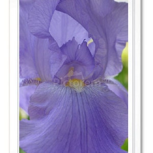 Blue Iris, Note Card, Greeting Card, Blank Inside Card, Embossed Note Card, Iris Photo Card, All Occasion Note Card
