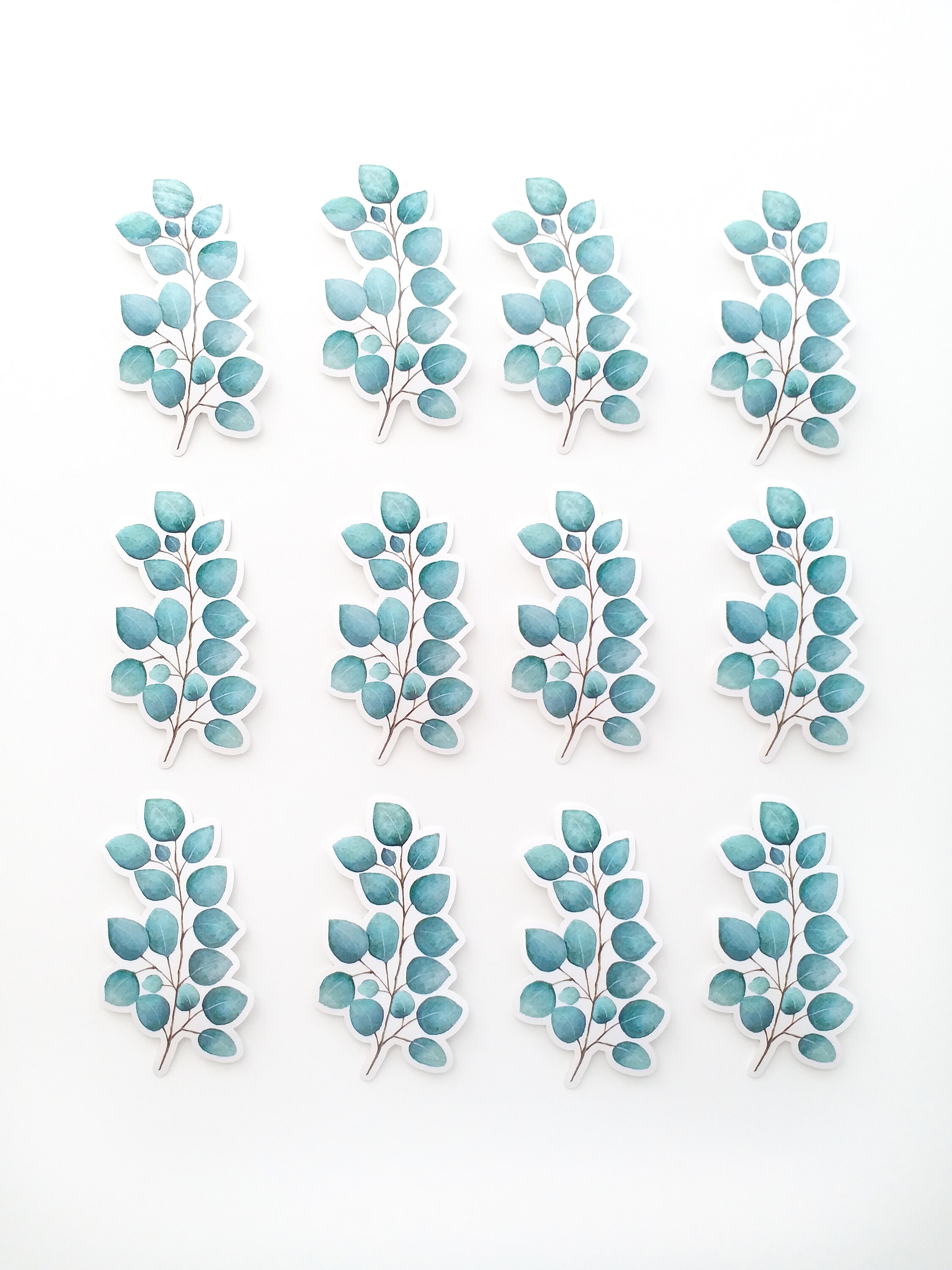 Squiddy Ecuador Vinyl Sticker - 4 Inch Decal For Laptop, Water Bottle, Phone