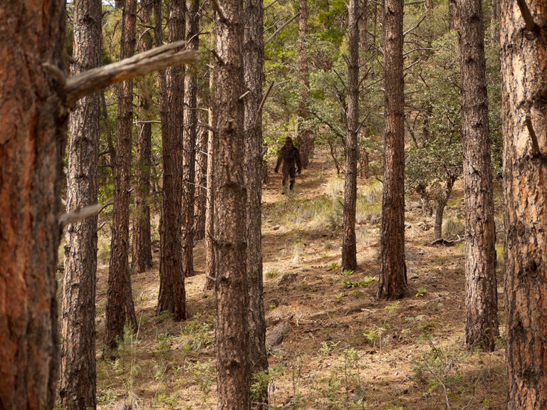 Bigfoot #3091