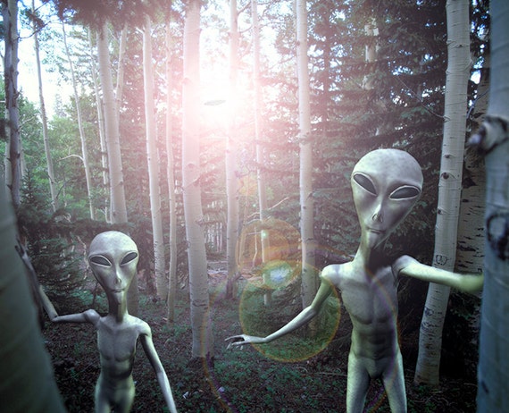 aliens in the forest