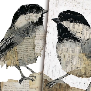 May include: A mixed media artwork featuring two stylized birds. The birds are primarily black and white, with details created from layered paper fragments. The artwork has a textured, collage-like appearance, with visible text fragments adding depth.