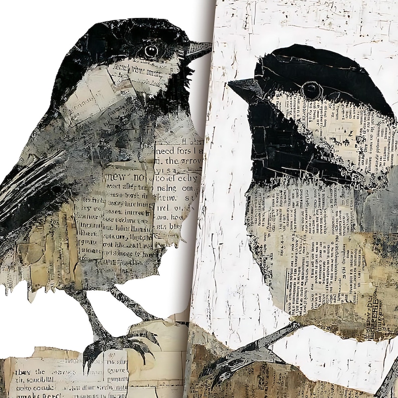 May include: A mixed media artwork featuring two stylized birds. The birds are primarily black and white, with details created from layered paper fragments. The artwork has a textured, collage-like appearance, with visible text fragments adding depth.
