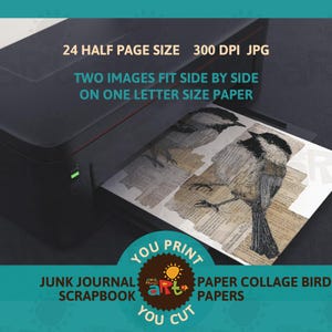 May include: A black printer is shown printing two bird images on paper. The paper has a collage design with bird illustrations and text. Text on the image reads "24 HALF PAGE SIZE 300 DPI JPG" and "TWO IMAGES FIT SIDE BY SIDE ON ONE LETTER SIZE PAPER."