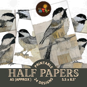 Può includere: Carta a metà stampabile con illustrazioni di uccelli. I fogli hanno uno stile collage con testo e bordi strappati. La dimensione è di circa 14 x 21,6 cm, con 24 disegni disponibili. I fogli sono in formato A5.