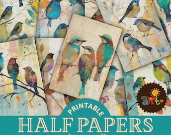 Painted Birds Junk Journal Half Papers, Printable Colorful Birds on Canvas art paper, Digital Paper, Scrapbook Accessory, Collage Sheet