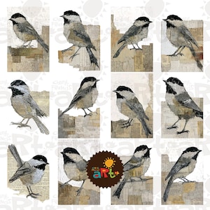 May include: A collection of twelve bird illustrations. Each bird is depicted in shades of gray, black, and white, perched on a background of aged paper with visible text. The artwork has a vintage, collage-like aesthetic, with the artist's name visible.