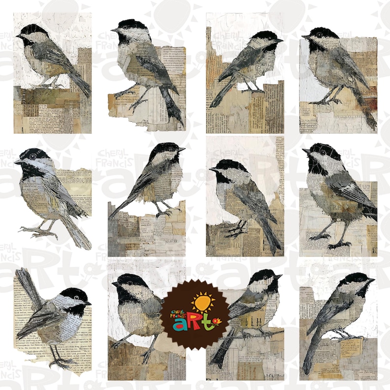 May include: A collection of twelve bird illustrations. Each bird is depicted in shades of gray, black, and white, perched on a background of aged paper with visible text. The artwork has a vintage, collage-like aesthetic, with the artist's name visible.