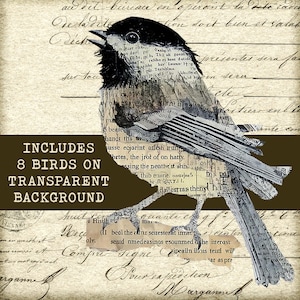 May include: A digital art print of a bird, created with a collage of vintage paper and text. The bird is black and gray, with a detailed design. The image includes text that reads "INCLUDES 8 BIRDS ON TRANSPARENT BACKGROUND".