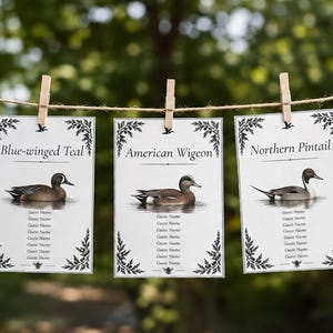 May include: Three rectangular white cards hanging from a jute twine with wooden clothespins. Each card features a black and white botanical border, a duck illustration, and text: Blue-winged Teal, American Wigeon, and Northern Pintail.