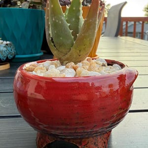 Puede incluir: Una maceta de cerámica roja con una planta suculenta. La maceta tiene un acabado brillante y tres patas pequeñas. La suculenta tiene hojas verdes con bordes puntiagudos y está rodeada de pequeñas piedras blancas y beige. Otras plantas en macetas están en el fondo.