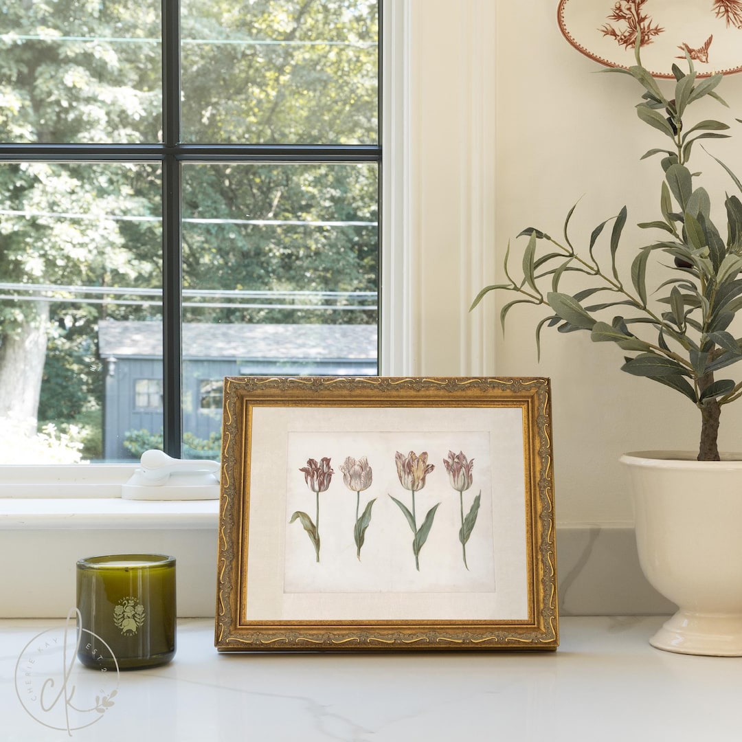 Vintage Botanical Print | Framed Tulip Canvas Art | Antique Gold Floral ...