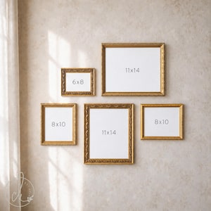 May include: A collection of five ornate gold picture frames arranged on a wall. The frames include one 6x8 inch frame, two 8x10 inch frames, and two 11x14 inch frames, each containing a white rectangular insert with the size printed in black text.