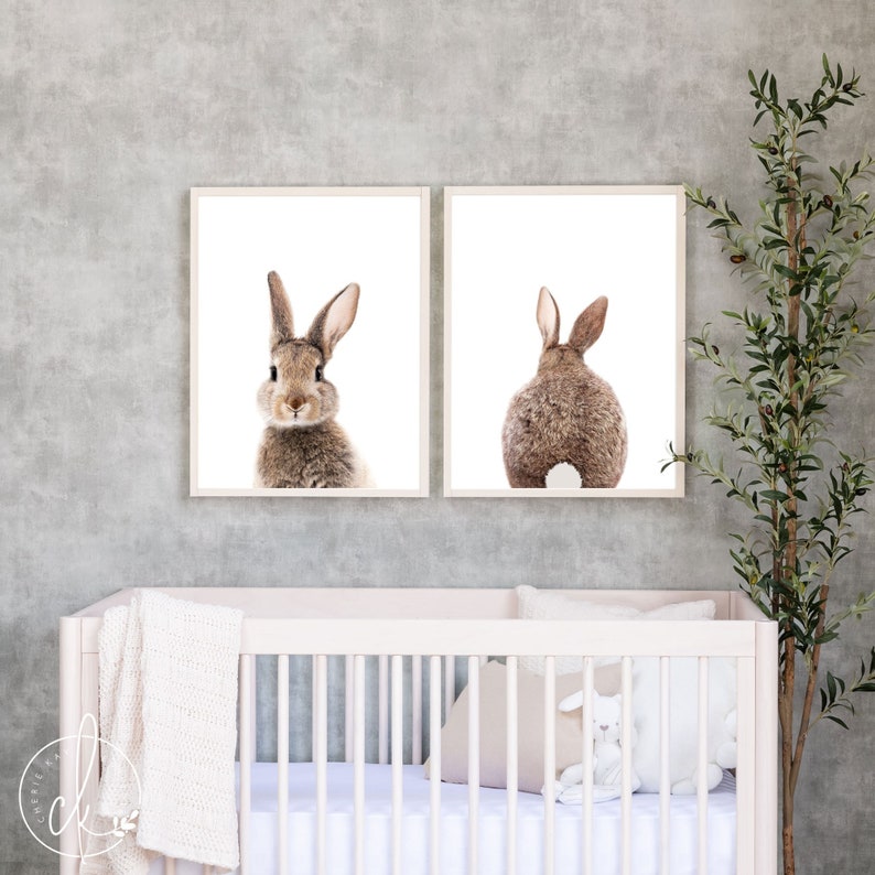 May include: Two framed prints of a brown rabbit, one facing forward and the other facing away, with a white background. The prints are hanging on a gray wall above a white crib.