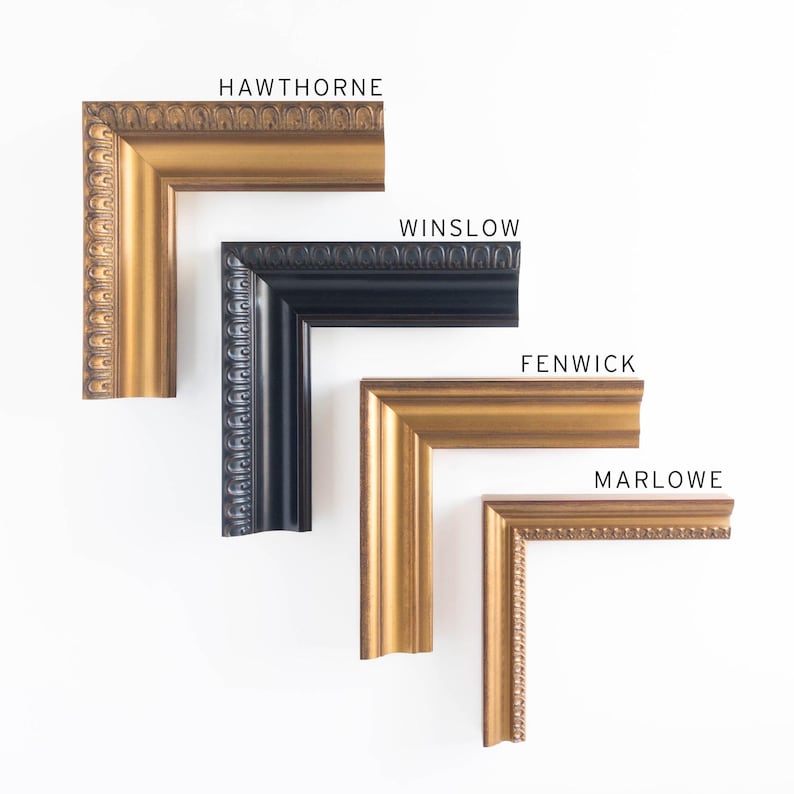 May include: Four decorative picture frame corner samples in gold and black. The samples are labeled "HAWTHORNE", "WINSLOW", "FENWICK", and "MARLOWE". The frames have ornate detailing and varying widths, showcasing different design options.