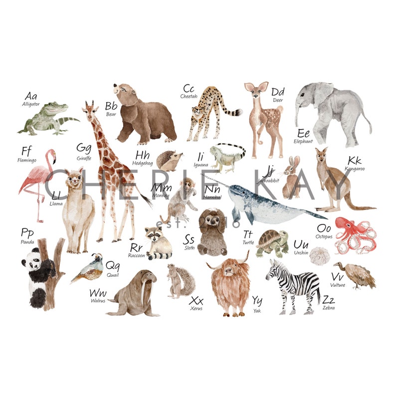 Watercolor animal alphabet chart on white canvas showing 26 illustrated animals from Aa Alligator to Zz Zebra.