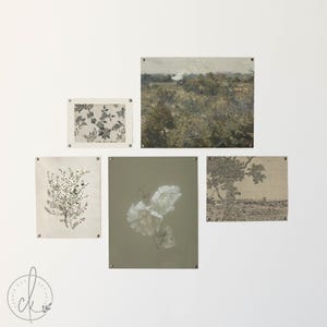May include: A collection of five rectangular wall art prints featuring diverse botanical and landscape illustrations in muted tones of olive green, beige, and charcoal grey, each secured to the wall with small metallic fasteners at the corners.