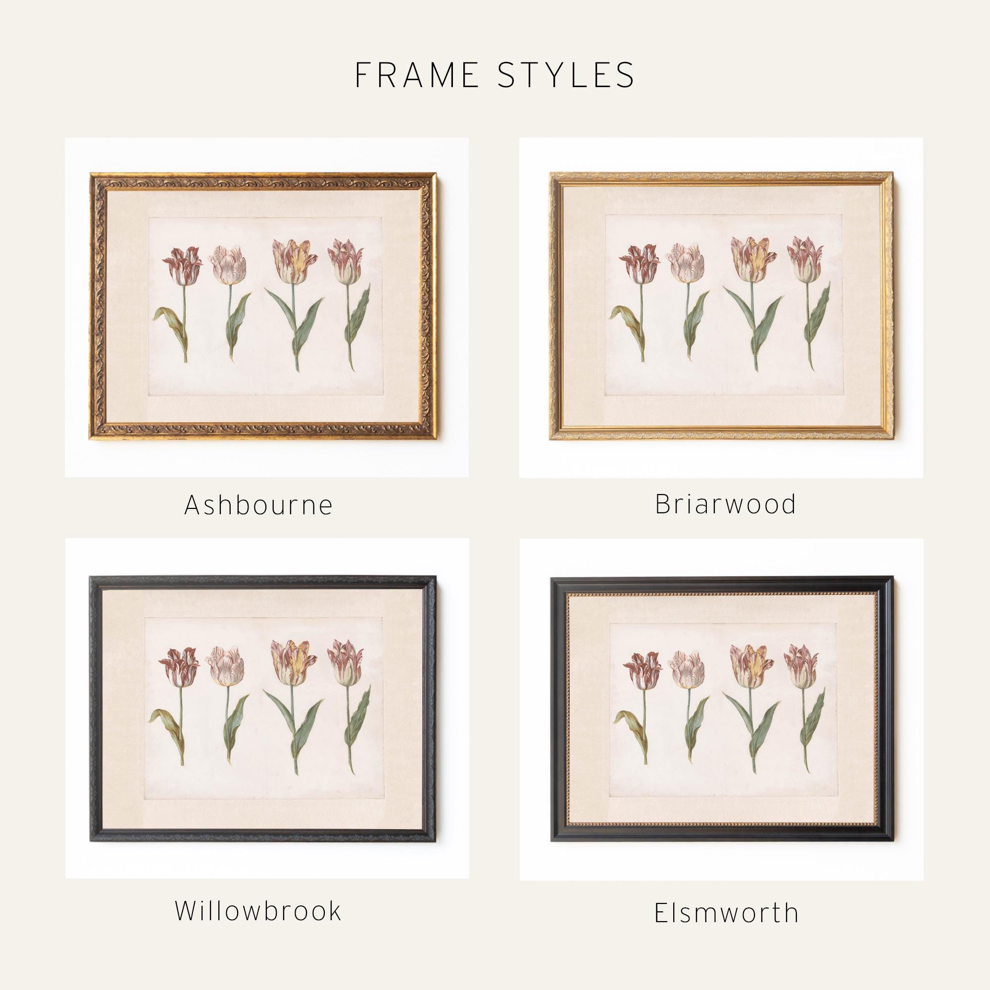 Vintage Botanical Print | Framed Tulip Canvas Art | Antique Gold Floral ...