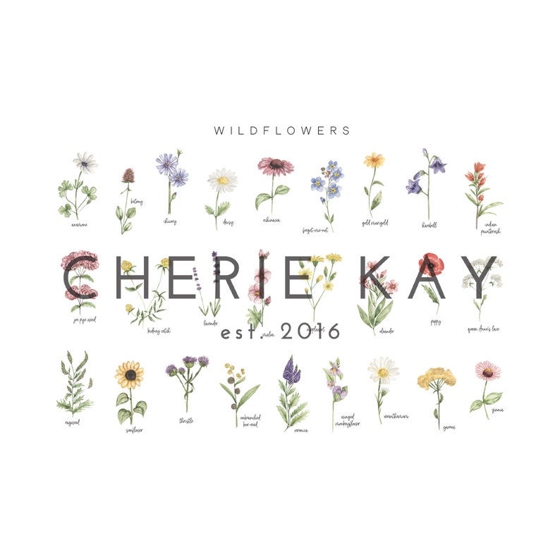 May include: A white background features watercolor illustrations of various wildflowers, each labeled with its name. The text "Wildflowers" is at the top, with "CHERIE KAY est 2016" in the center. The image showcases a botanical theme.