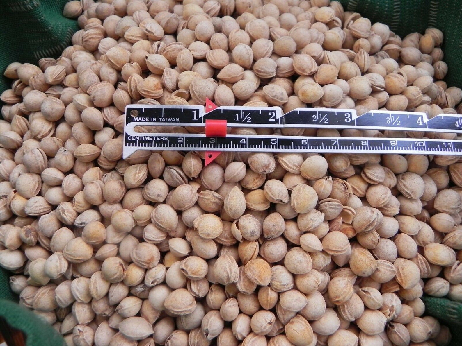 Bulk Cherry Pits for Crafting / Cherry Pits for Heating Pads / Etsy