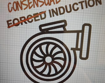 Consensual Induction decal