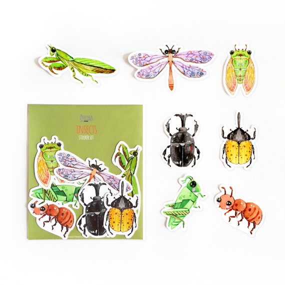 Insects Sticker Set Sticker Pack Die Cut Stickers | Etsy