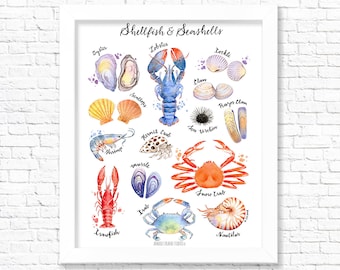 Shellfish and Seashells/ Nursery Prints/ Animal Fine Art Print/ Nursery decor/ Nursery Wall Art/ Baby Animal Prints