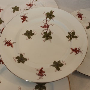Set of 4 Royal Victoria Fine Bone China 8.25&quot; Luncheon or Salad Plates - Grapevines, Grapes