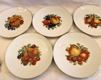 Set of 5 Bareuther Waldsassen Porcelain 7.75" Plate with Fruits and Gold Rim - Bavaria Germany