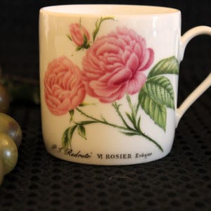 Hutschenreuther China 6oz Flat Bottom Teacup - Pink Roses, Redoute, Rosier, Excellent Condition, Made in Germany