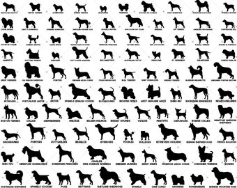 Peeking Dog Breed Decal Multiple Colors 6 inch Peeking Dog Breed Decal Multiple Colors 6 inch