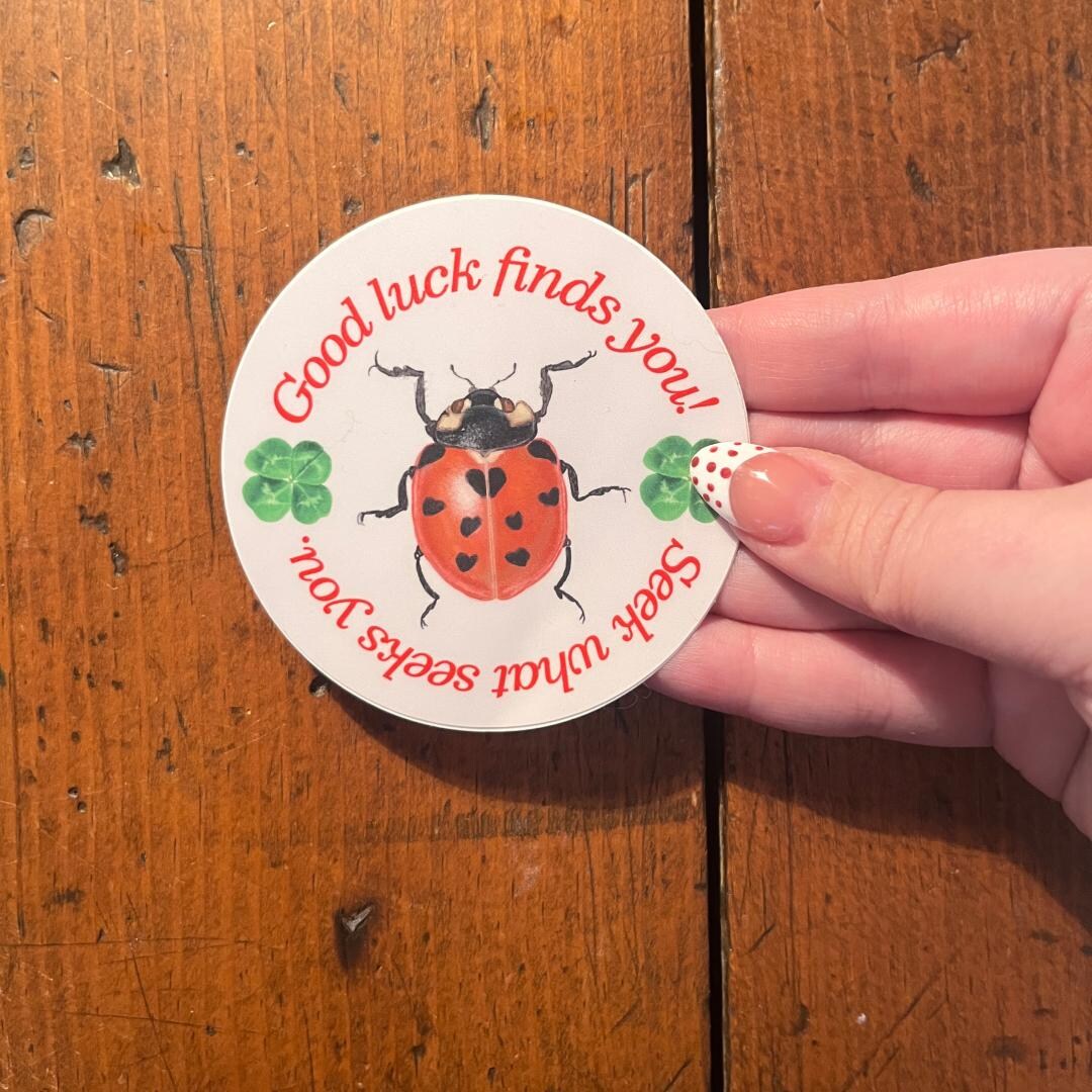 Lady Luck Ladybug Sticker | Lucky Girl, Matte Kiss Cut (3"x3") - Etsy