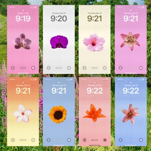 Pacchetto di sfondi floreali, pacchetto di 32 sfondi, estetica Tiktok, estetica degli sfondi per iPhone, schermata di blocco del telefono alla moda, orchidea, ibisco,