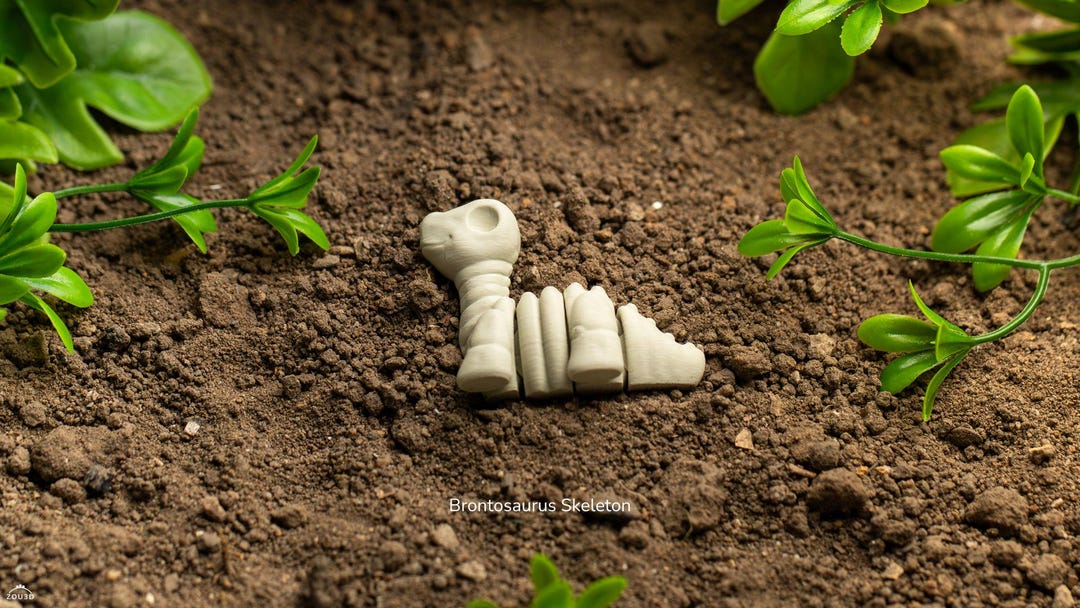 Articulated Baby Bronto Skeleton - 3D Printed Animals - Desk Toys - Etsy