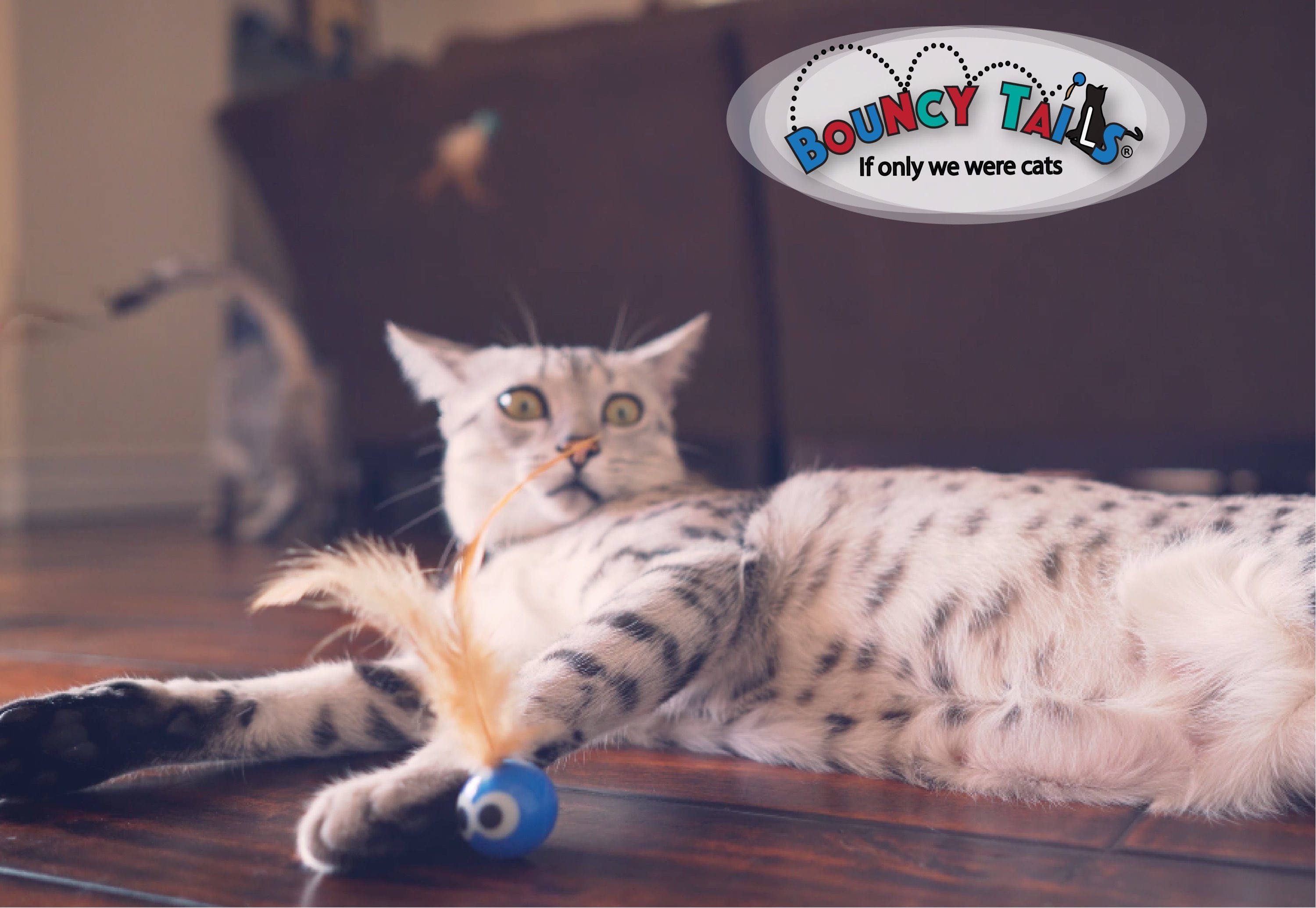 Bouncy Tails: a cat ball toy that'll make you bounce for | Etsy