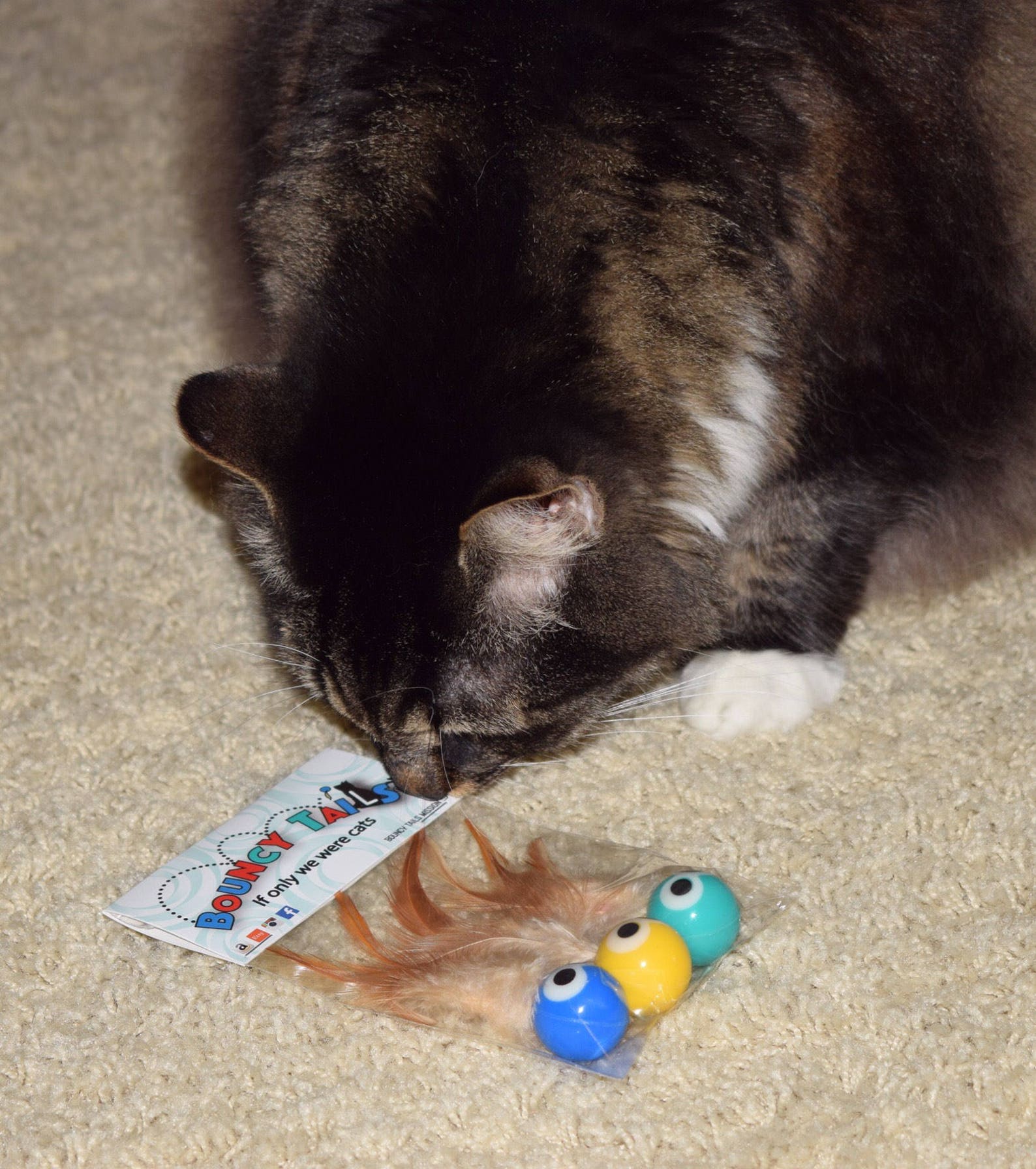 Bouncy Tails: a cat ball toy that'll make you bounce for | Etsy